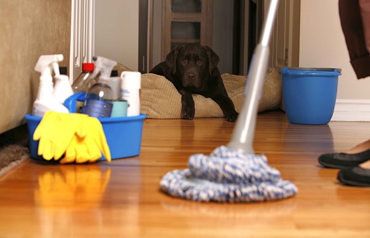 Spring Cleaning with an Eye Toward ROI