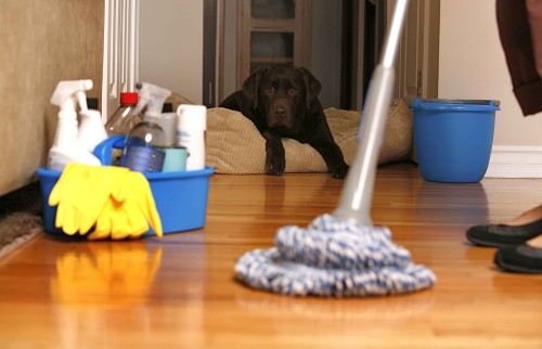Seven places sellers forget to clean