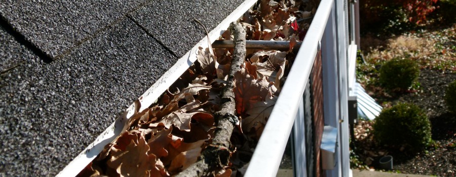 Why Your Gutters Deserve Some TLC