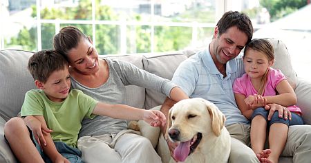 What Sellers Should Know About Pets and Showings