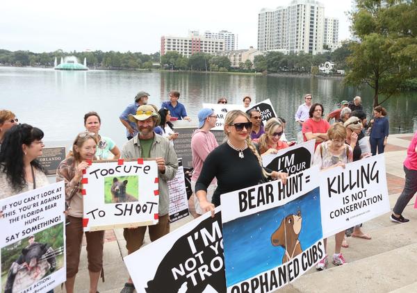 No Florida Bear Hunt this year or 2018, FWC decides
