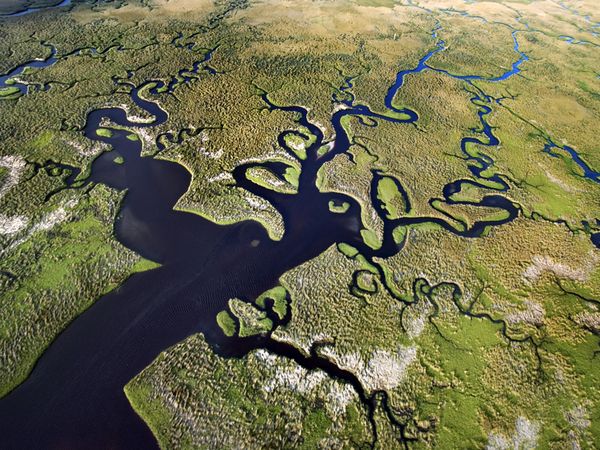 Congress might remove roadblocks to Everglades restoration