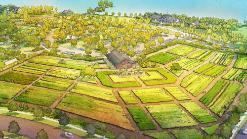 “Agrihoods” a possible use for dying Fla. golf courses?
