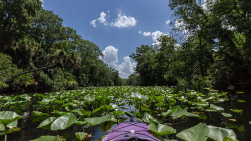 Here are the best state parks in the Orlando area