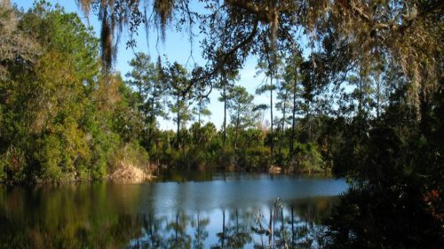 Frequent visitors to Florida state parks could now get prizes