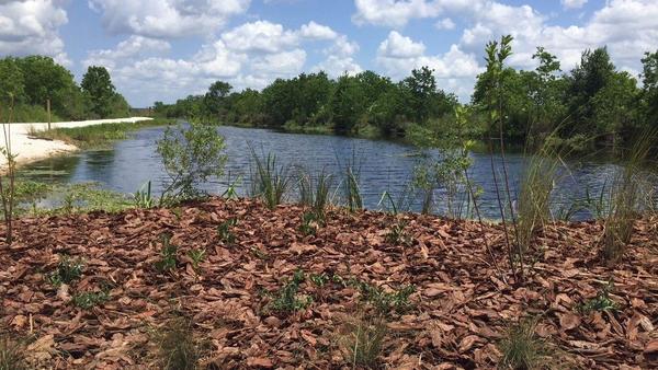 Pine Meadows Conservation Area near Eustis to open — 770 acres of Mother Nature to explore