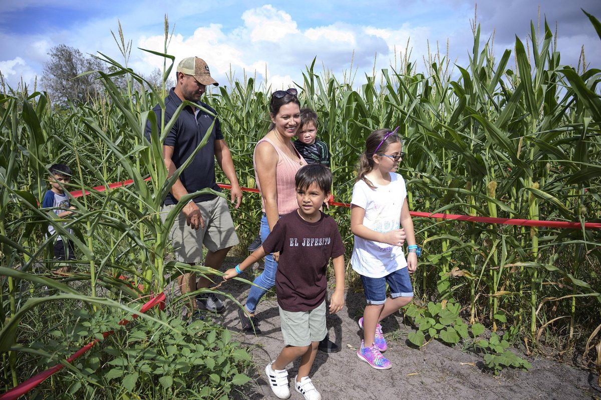 Long and Scott Farms unveils health-themed corn maze